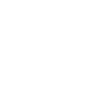 SpeedTrack Inc.